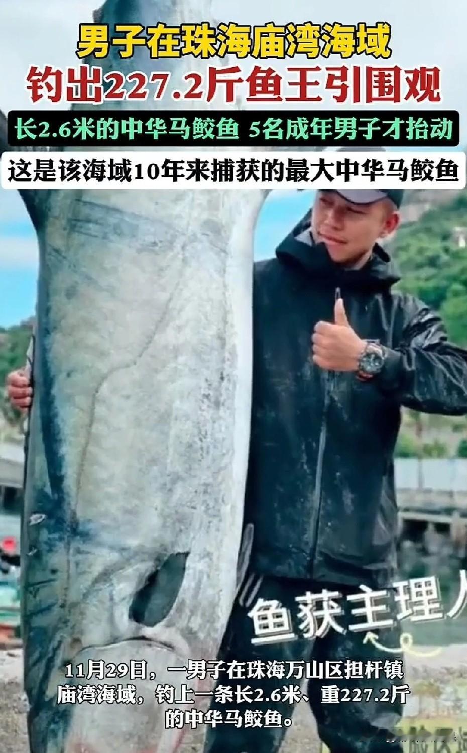 这也太厉害了吧！男子钓到了227斤大鱼，都用了吊车过来帮忙了！在2025年11