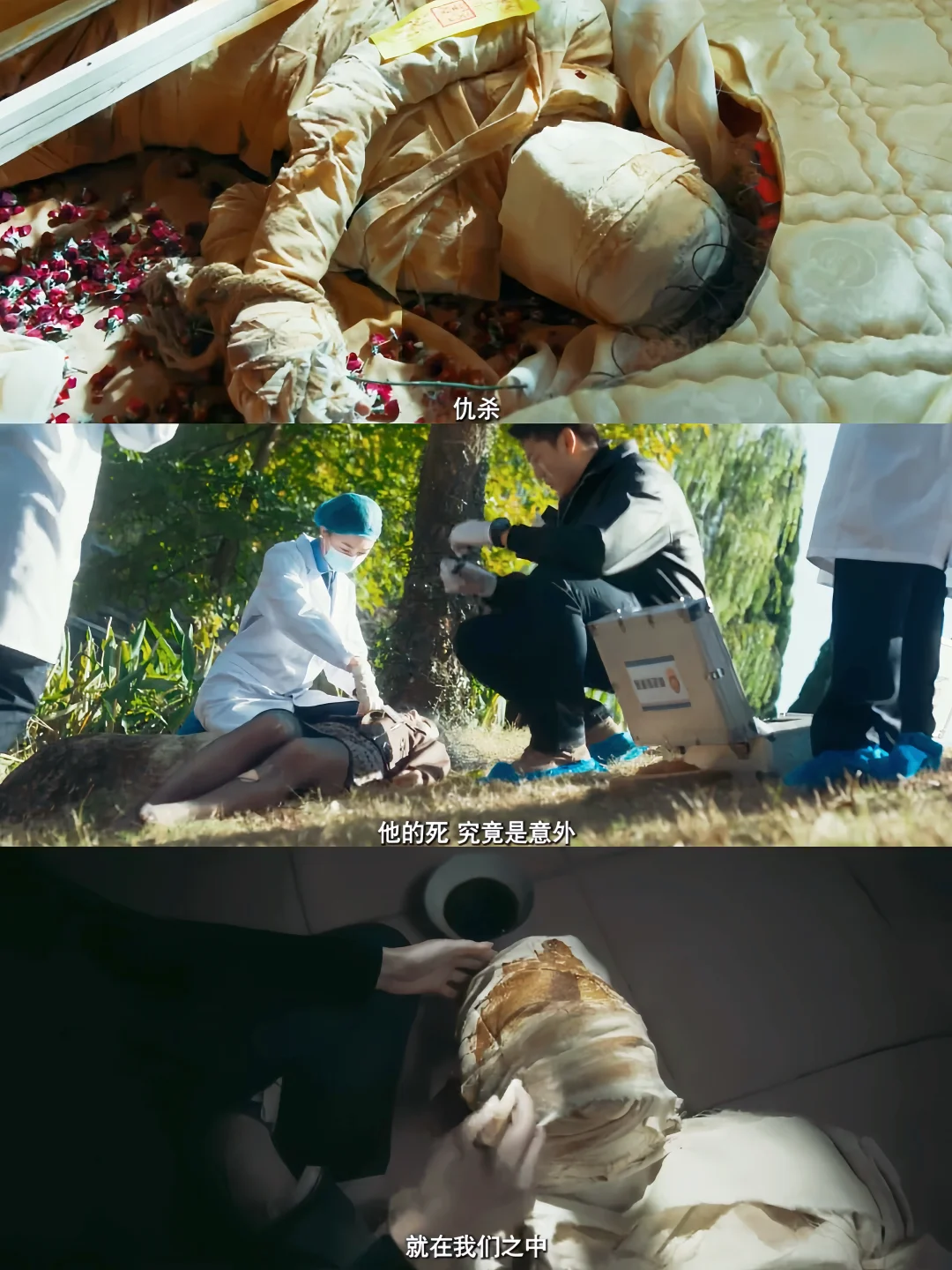 终于播了‼️刑侦悬疑‼️法医单元案‼️连环凶鲨