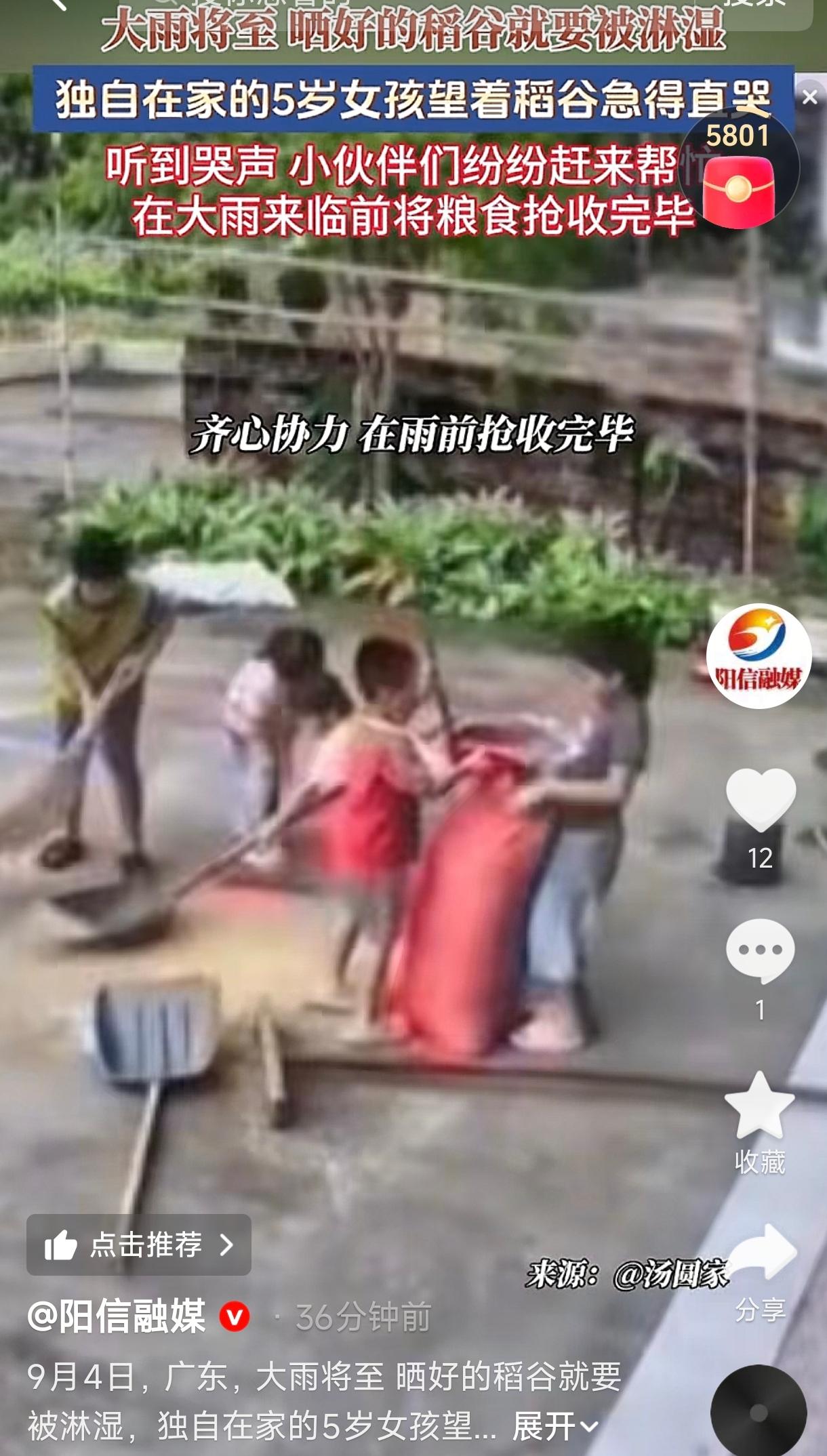 广东阳江，一家里大人外出下地干活，5岁小女孩独自在家刚睡醒，眼看院子里晾晒的稻谷