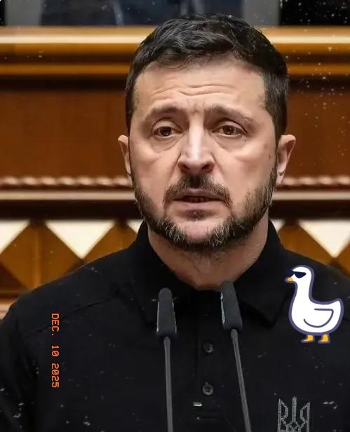 快讯！快讯！乌克兰突然宣布12月9日乌克兰把新方案砸到美国桌上，哪里是求和