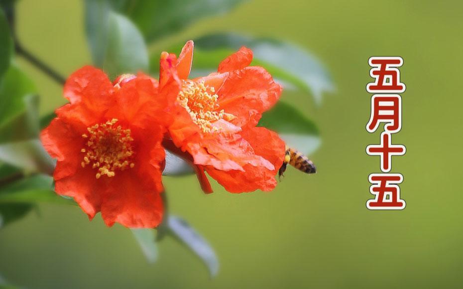 明天是五月十五，传统的“大端阳”，祈福纳祥的好日子，老辈人说这5样食物一定要上桌