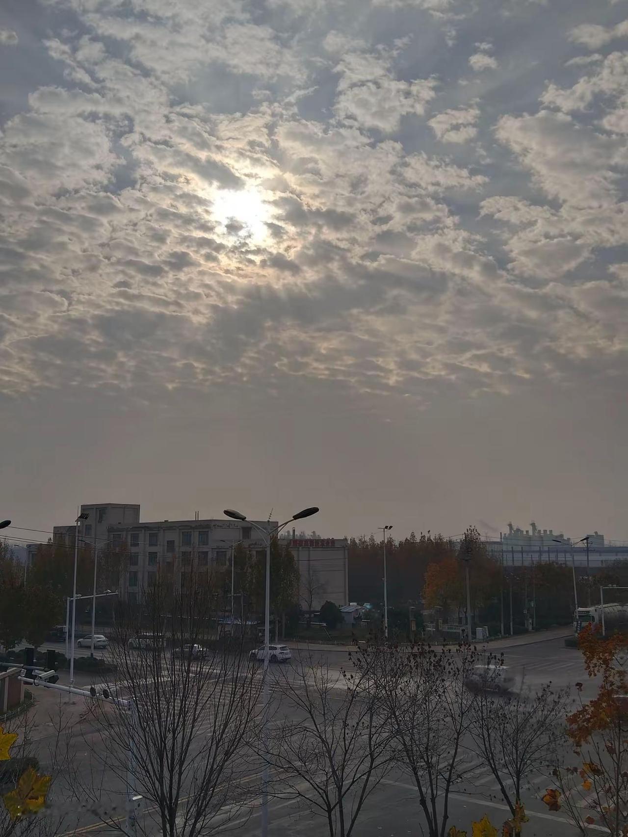 “凌晨六点的早餐店，阿姨一边揉面一边说：‘今天的豆浆比昨天多煮了半小时，你尝尝甜