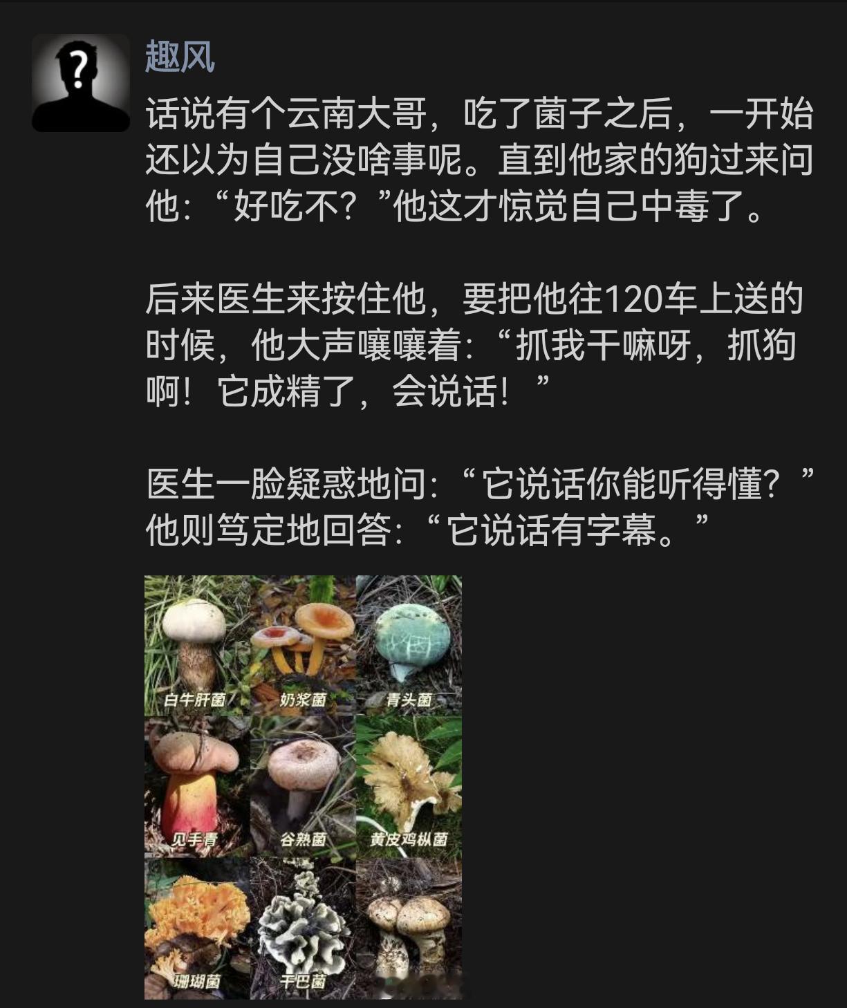 云南大哥吃菌中毒的奇葩经历