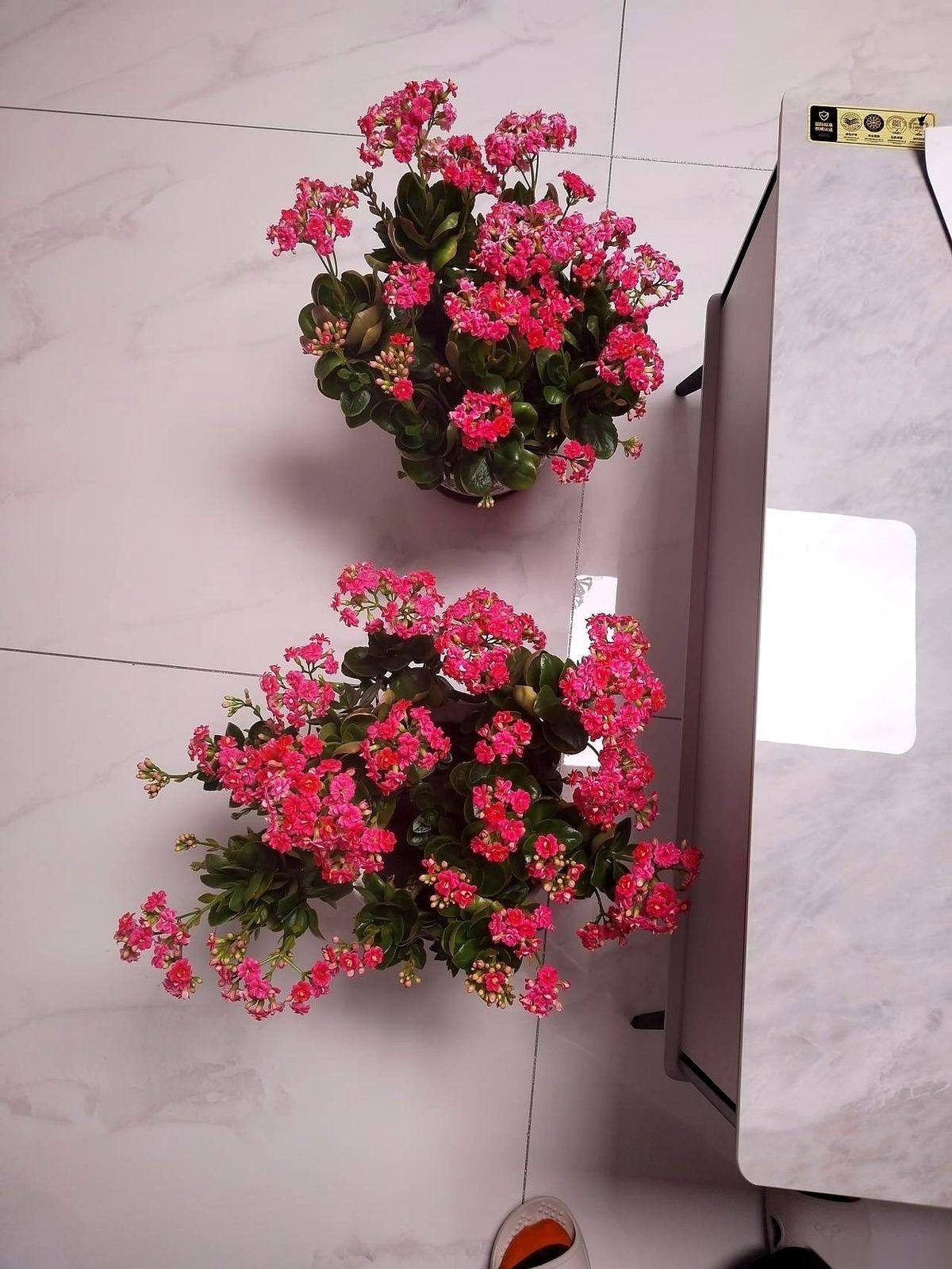 年前动了个小手术，真不是什么大事儿。但你知道吗，就这么一个小手术，像一块石头扔