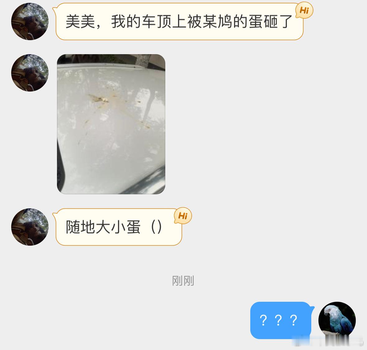 鸟粉投稿？？？鸠飞蛋打论搭好好窝的重要性…