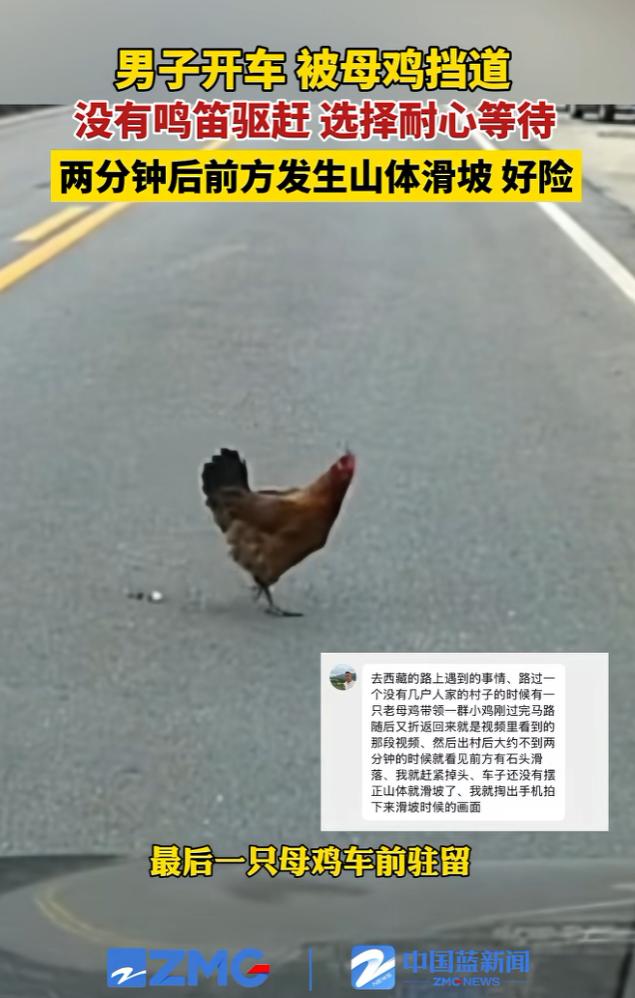 这下科学也解释不清了！近日西藏，男子驾车路过西藏自治区芒康县，行驶中发现前方有一