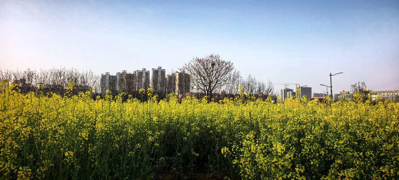 86年，月底失业了！一套房，贷款还剩43万，月供2068；两个孩子，大的二年