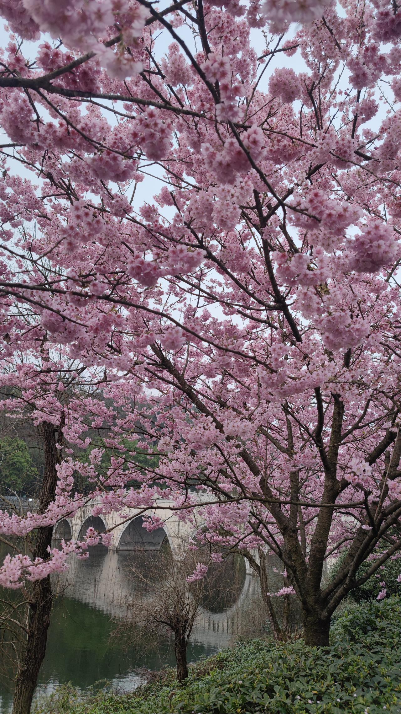 A股节后有望春意盎然，3月或许是2026年最亲民的一个月。一二月份的A股其实