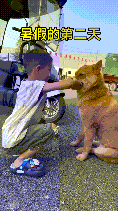 每次看到这种画面都忍不住捏一把汗，真心替小男孩捏把冷汗！暑假孩子放假在家，