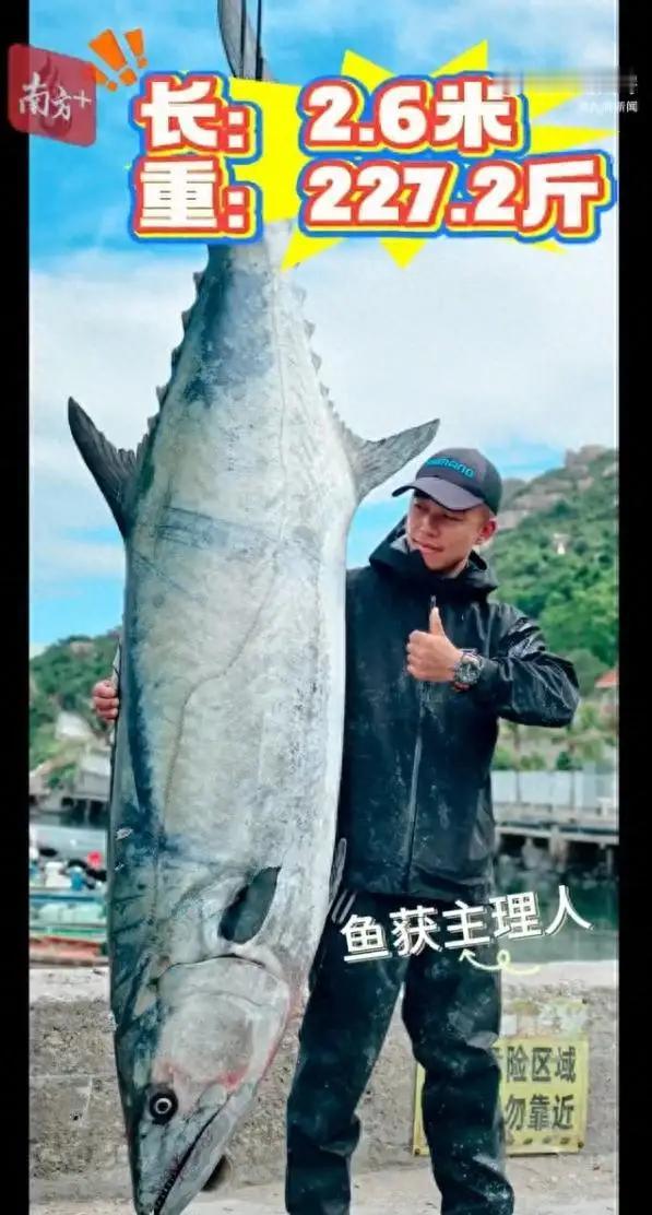珠海一男子钓鱼，竟然钓了一条227.2斤的鱼王，需要5名成年男子才抬动，男子甚至