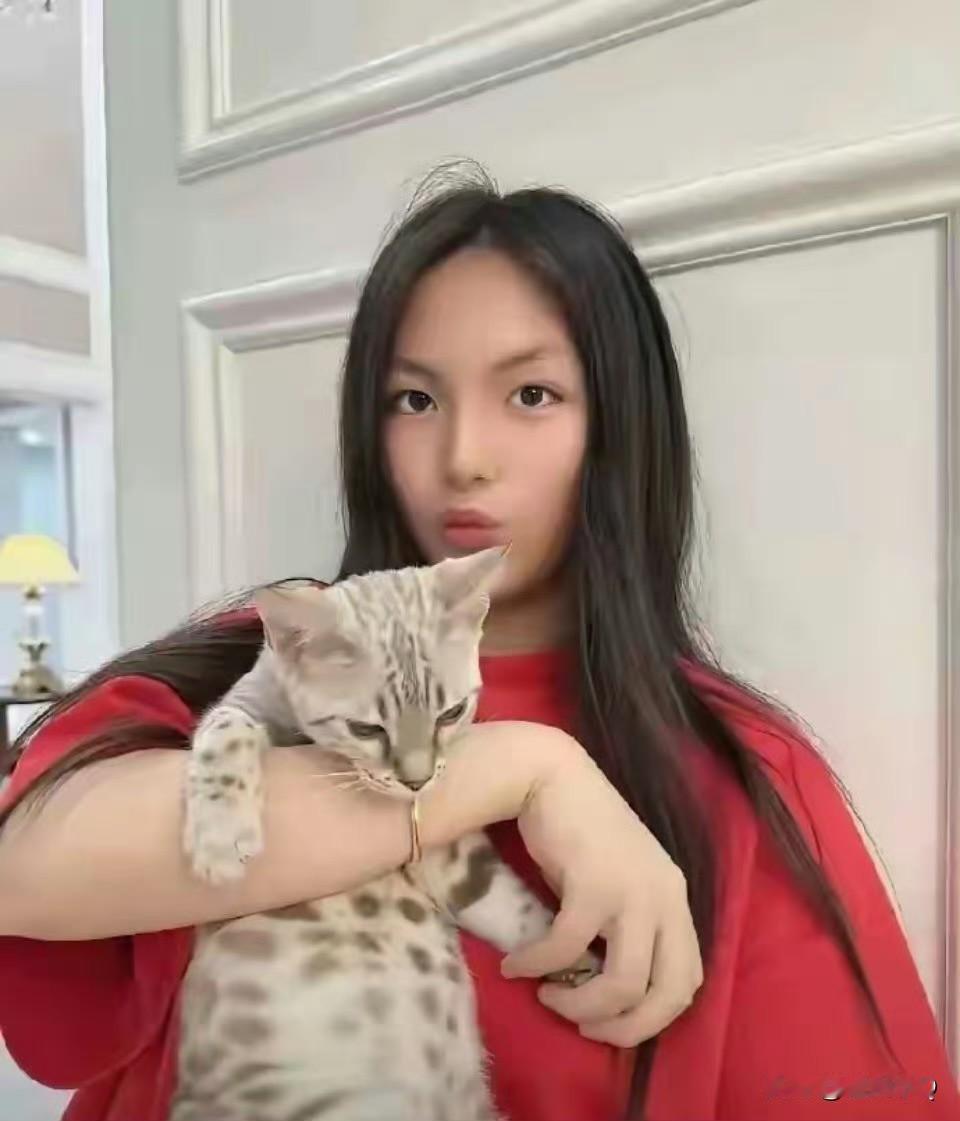 这可是王诗龄养得猫啊，品种和价格肯定不一般。王诗龄已经活成了大家羡慕的公主，想来