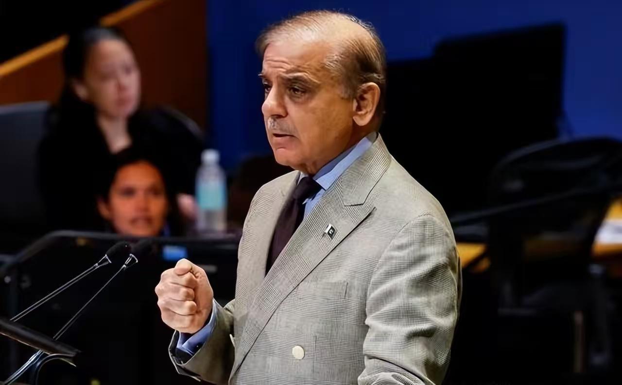 巴基斯坦现在越来越硬气，不是他硬怼阿富汗，也不是他要保护沙特，而是他提出谁如果敢