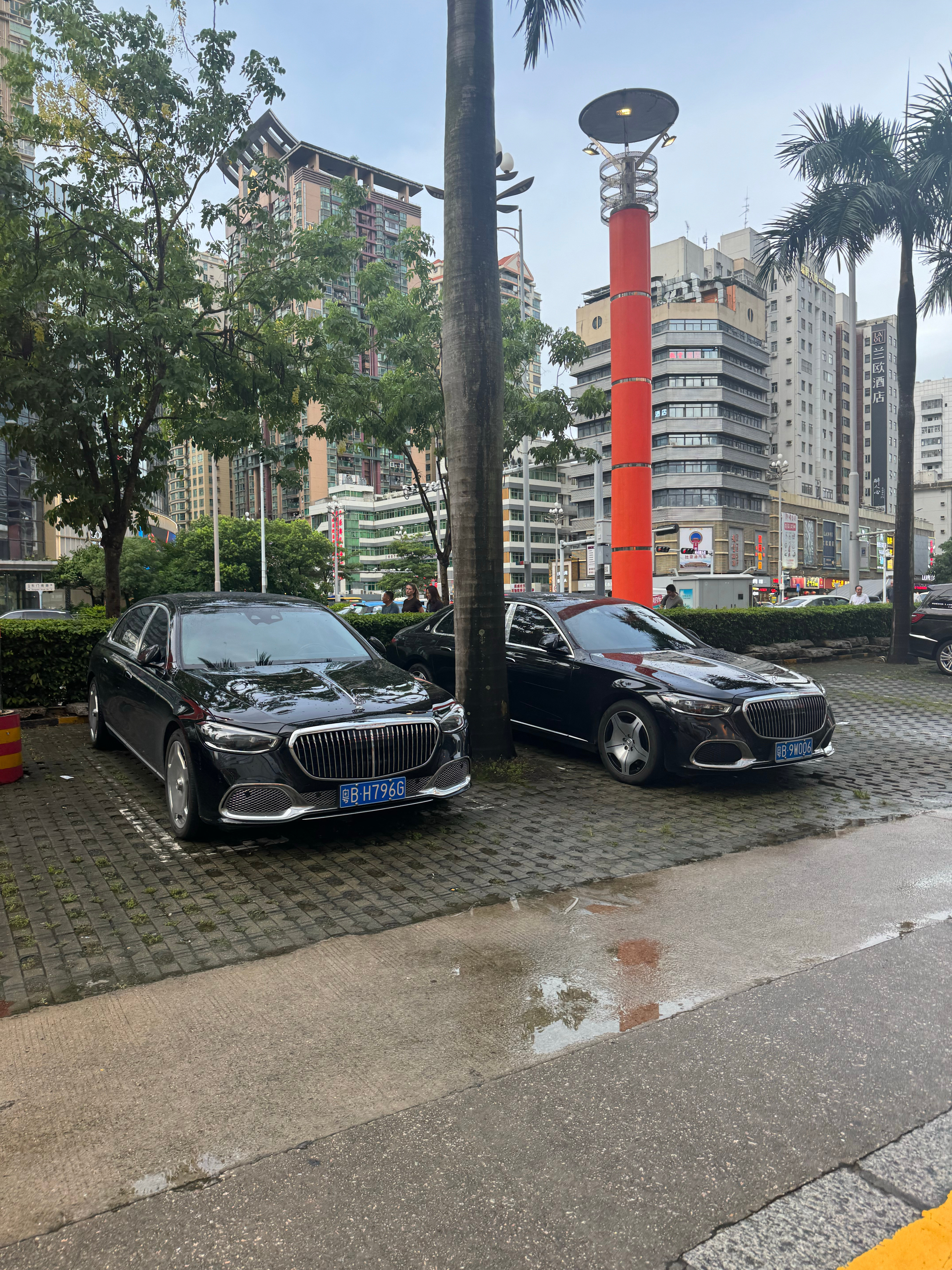 公司楼下的停车场🅿️这迈巴赫跟不要钱似的[捂脸哭][捂脸哭]​​​