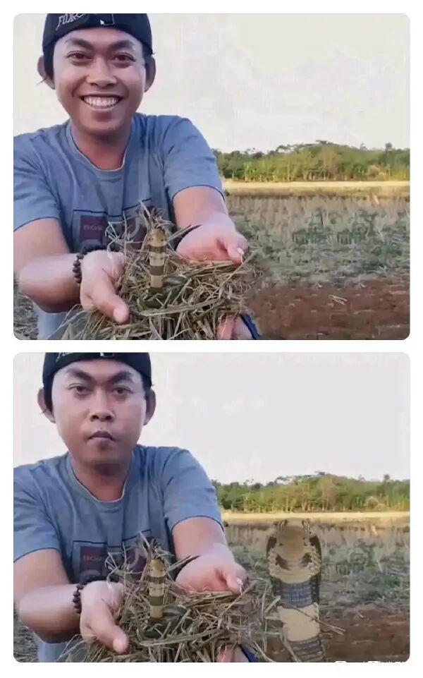 眼镜蛇妈妈：怎么不笑了？