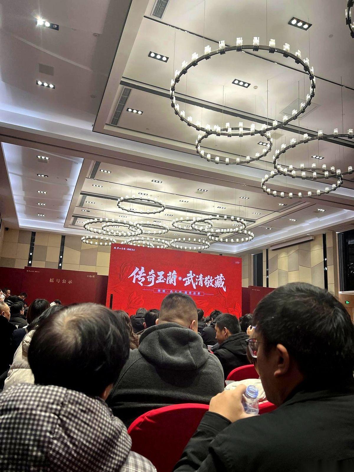 你敢信？开发商自己都吓一跳。本来计划慢悠悠卖3栋楼，结果现场人多到什么程度？多