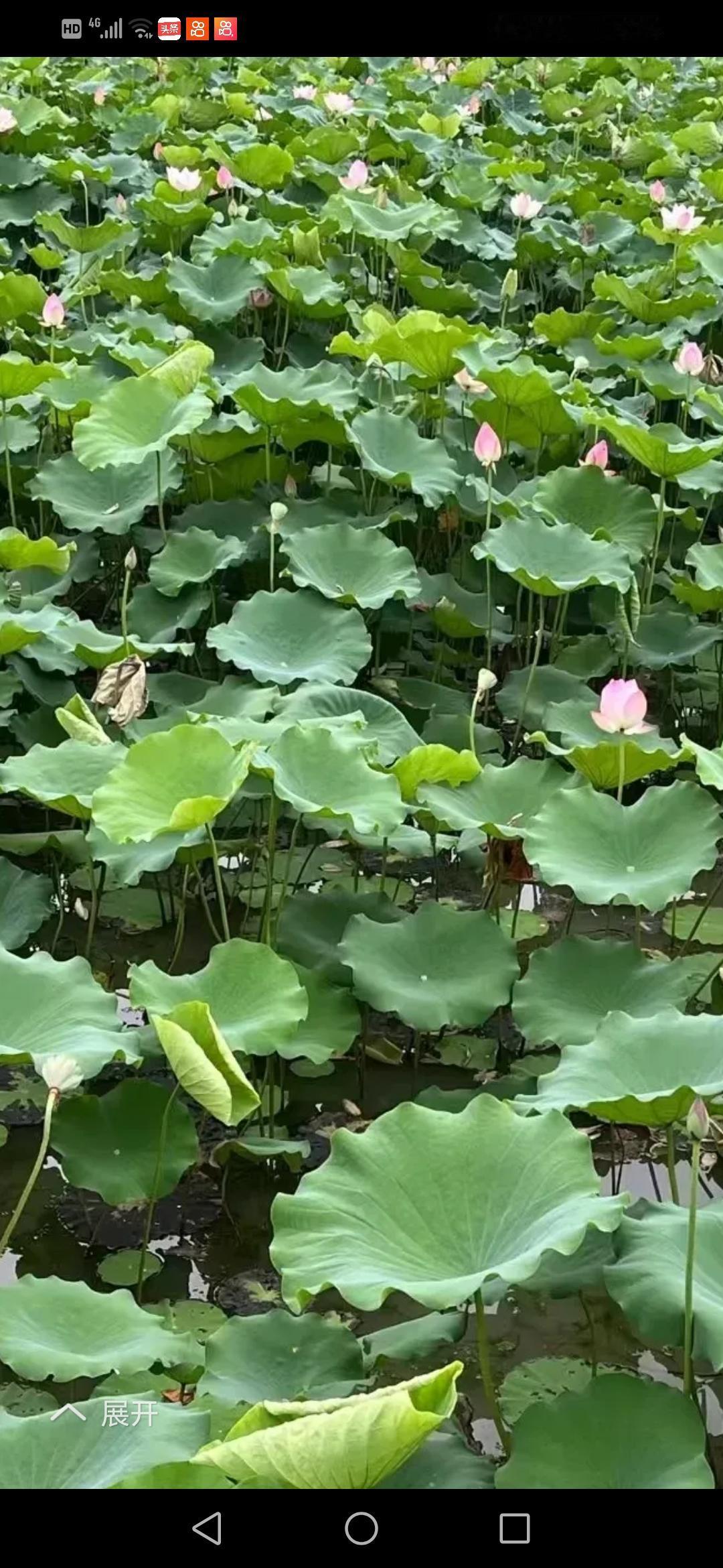 必须每天坚持，持之以恒，功夫不负有心人，相信通过自己的努力，才会出成果。