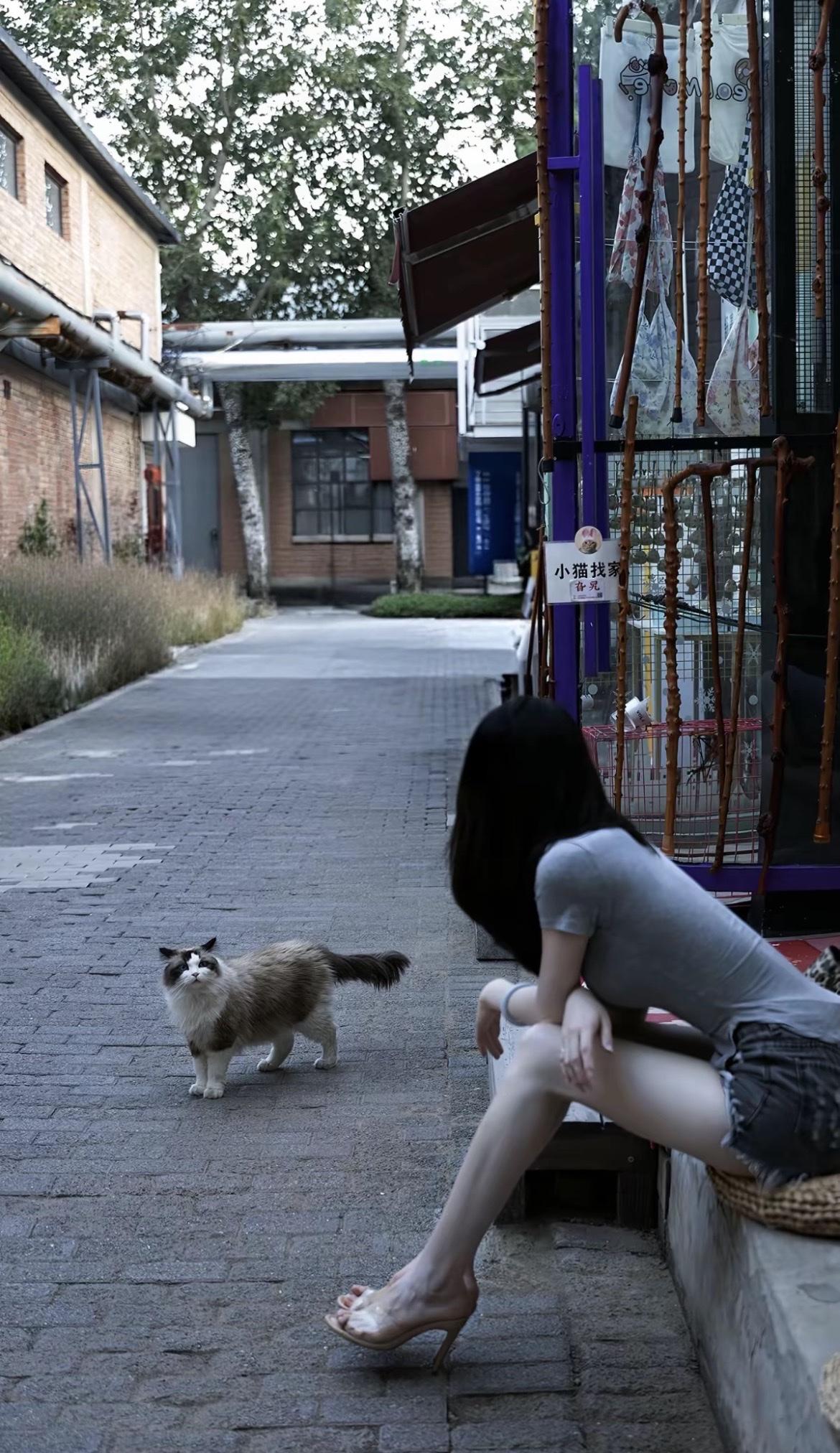 咪咪可爱吗[吐舌头眯眼睛笑]