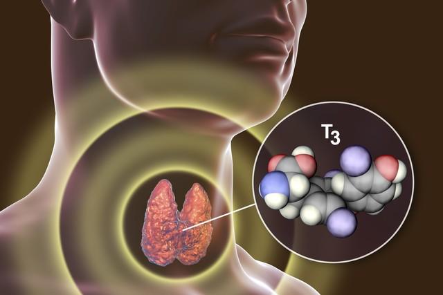 医生苦劝：有甲状腺结节的人，天冷宁可打麻将，也不要去做几件事甲状腺结节一直是