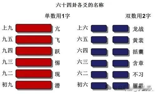 解读（易经中的智慧）蒙卦（上）蒙以养正解读《易经》中的智慧：蒙卦（上）蒙以养正