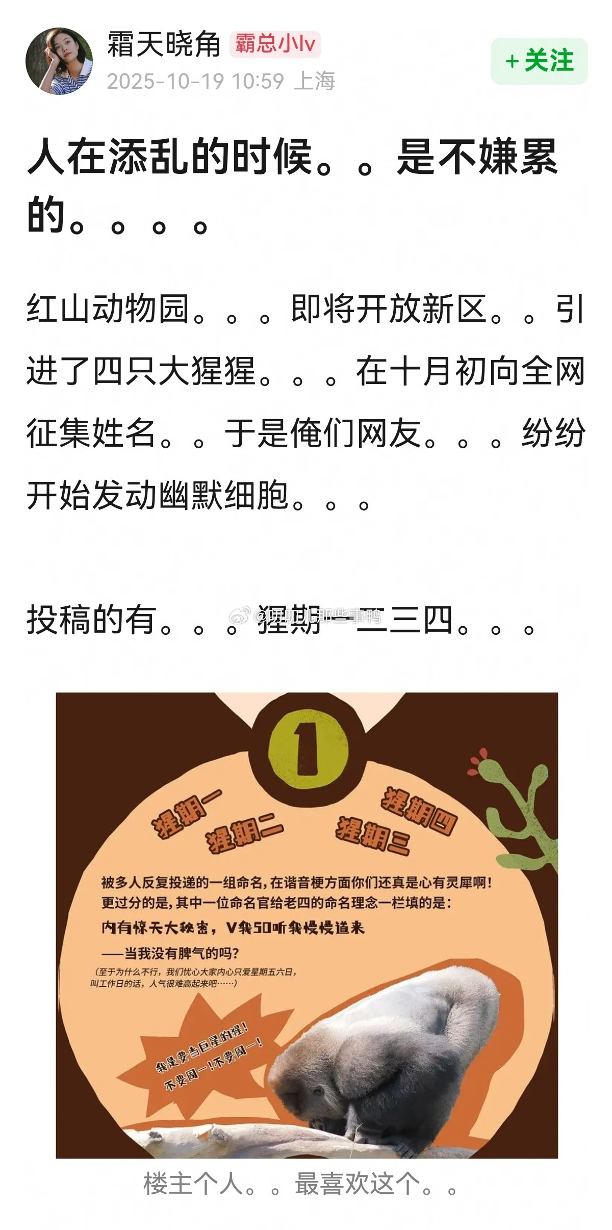 人在添乱的时候，是不嫌累的→“红山动物园四只大猩猩征集姓名”[大笑][大笑]​