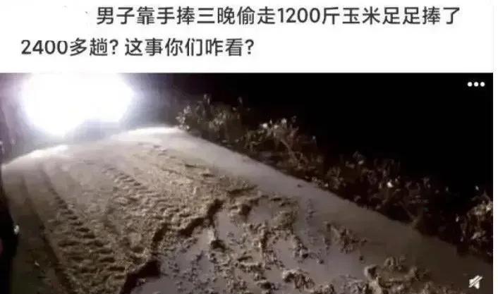 但凡找个塑料袋呢。。。