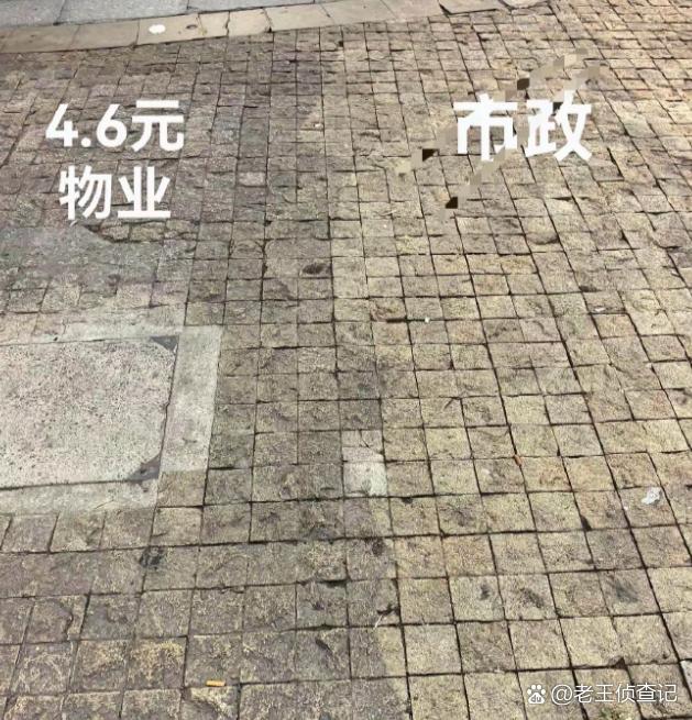 谁好谁坏，一眼就看出来了