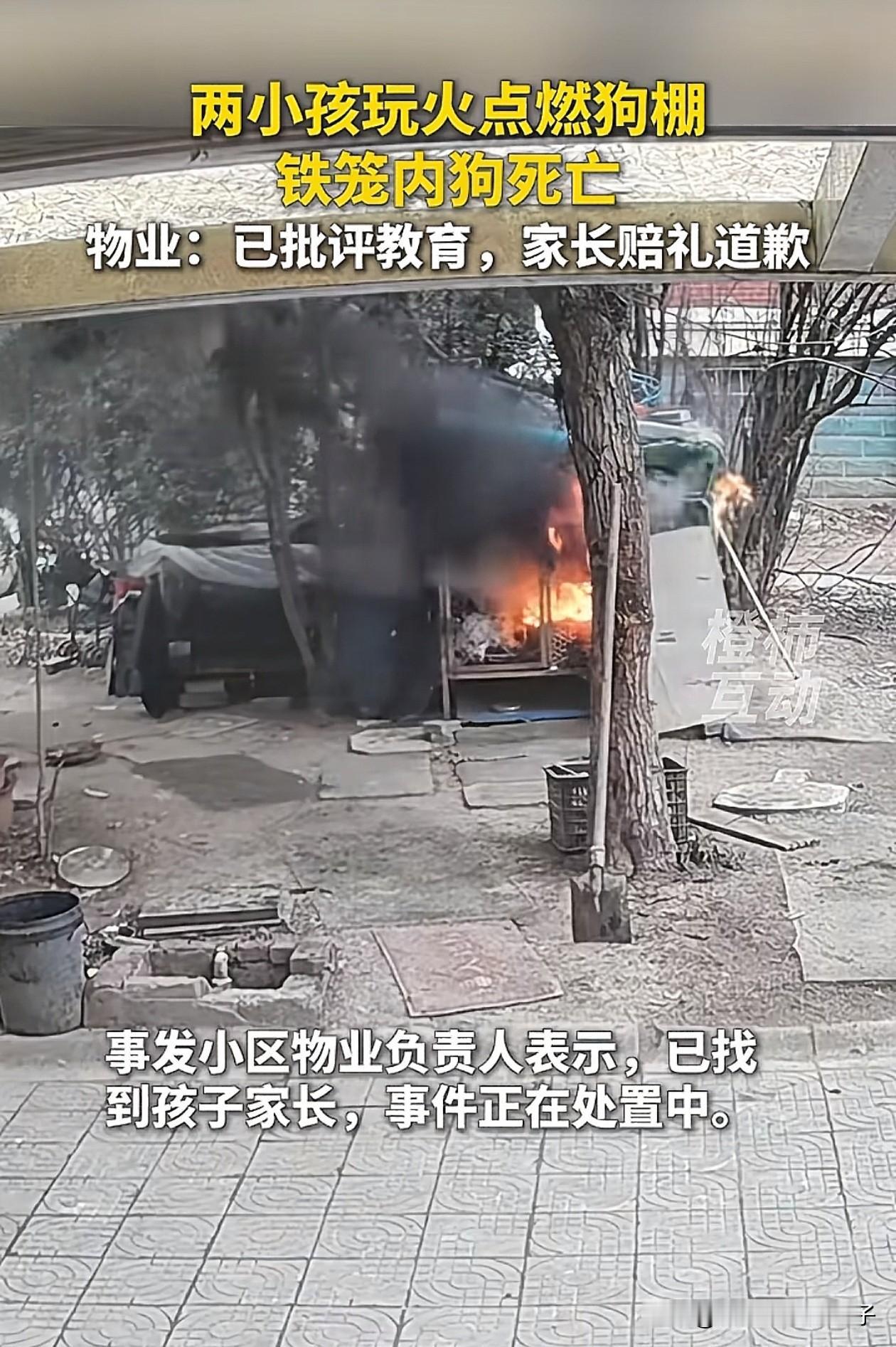 真欠揍！江苏，2个熊孩子在小区内玩烟花，一个小孩用烟花追着鸡屁股烧，另一个小孩则