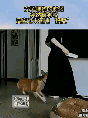 这美女对待狗就像自己的孩子，天天儿子长儿子短的。狗子咬你一口就不依不饶的，哪里是
