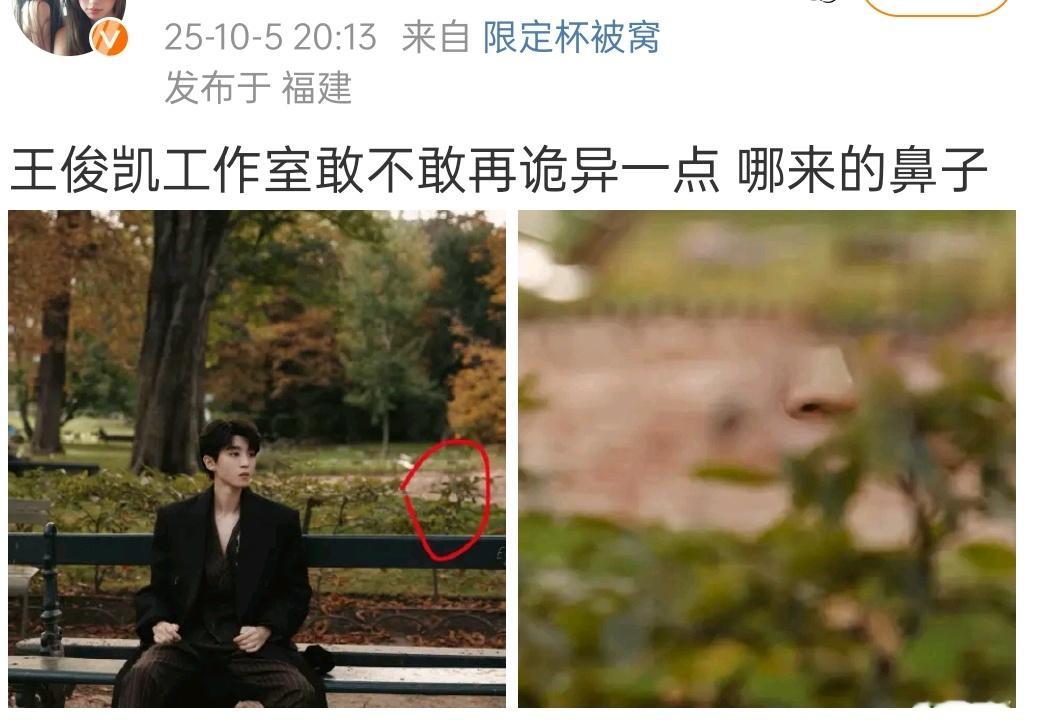 王俊凯工作室的出图里面，树上居然长出了鼻子​​​