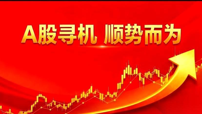 “别碰，那玩意儿就是个无底洞。”办公室里，老张指着屏幕上沉寂多年的化工板块，头