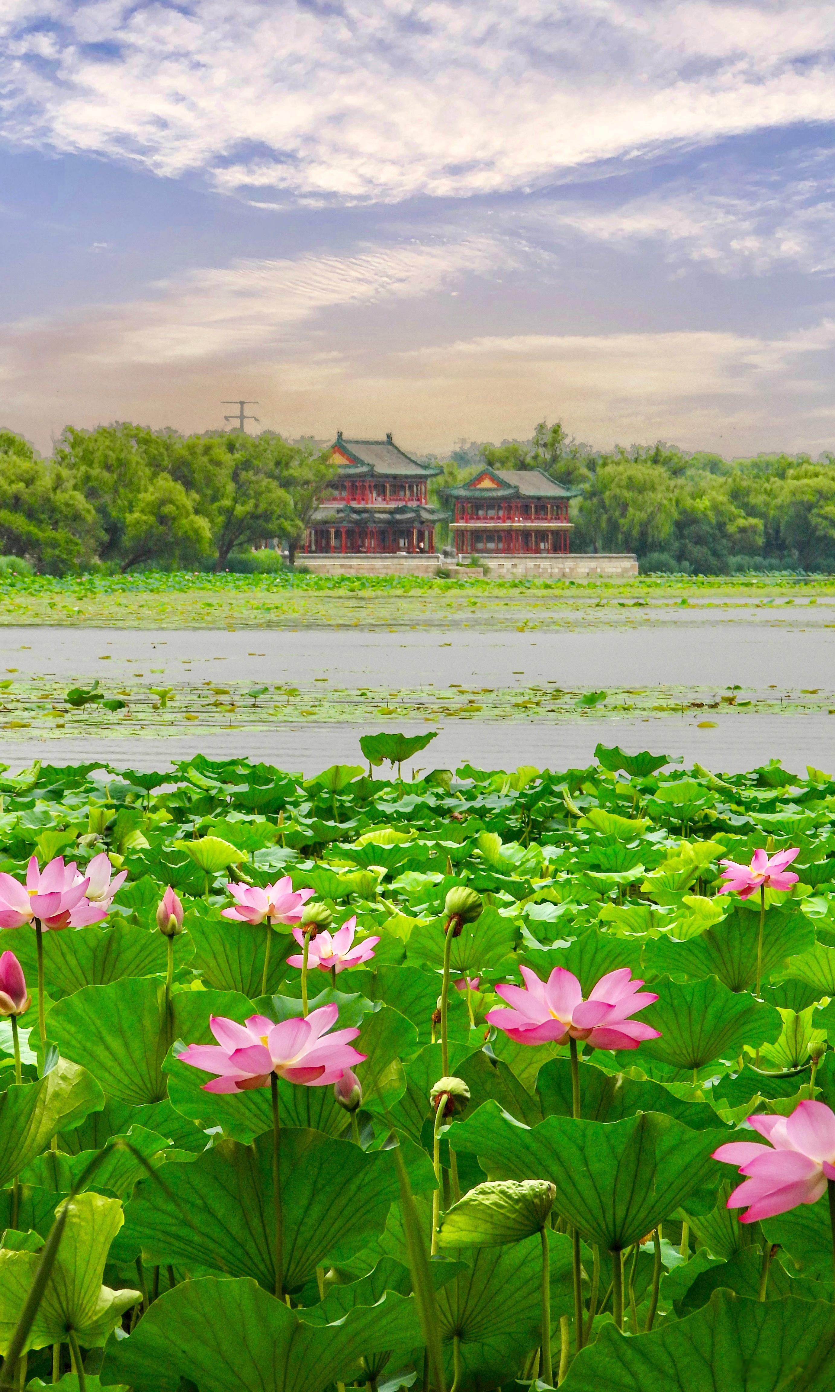 【颐和园】碧翠接天旷尘蒙，山容水态烟霞空。蓬莱琼岛终虚幻，仙人合住此园中。摄影​