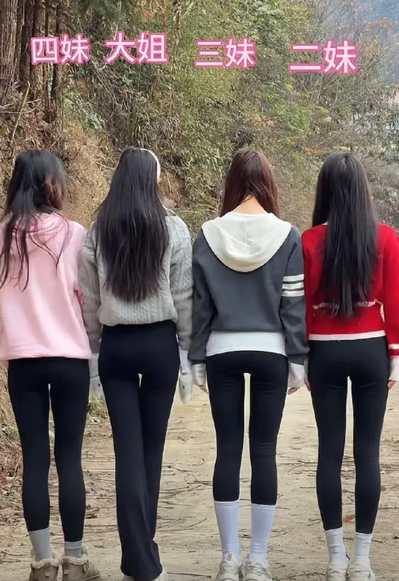 军师们，看上哪个了