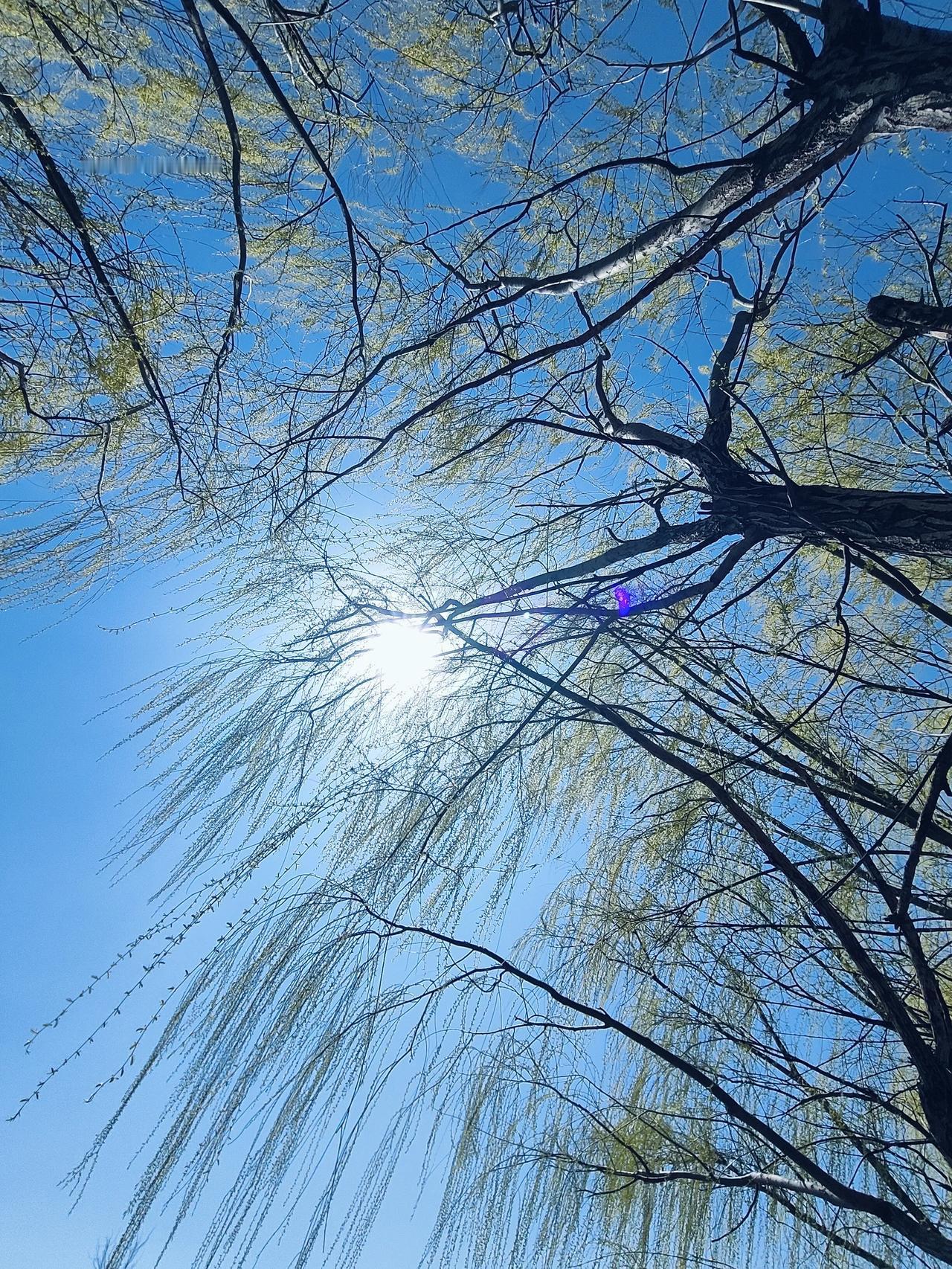 目前来看，普及高中教育应该没啥问题，但是划入到义务教育当中估计不太可能。原因非