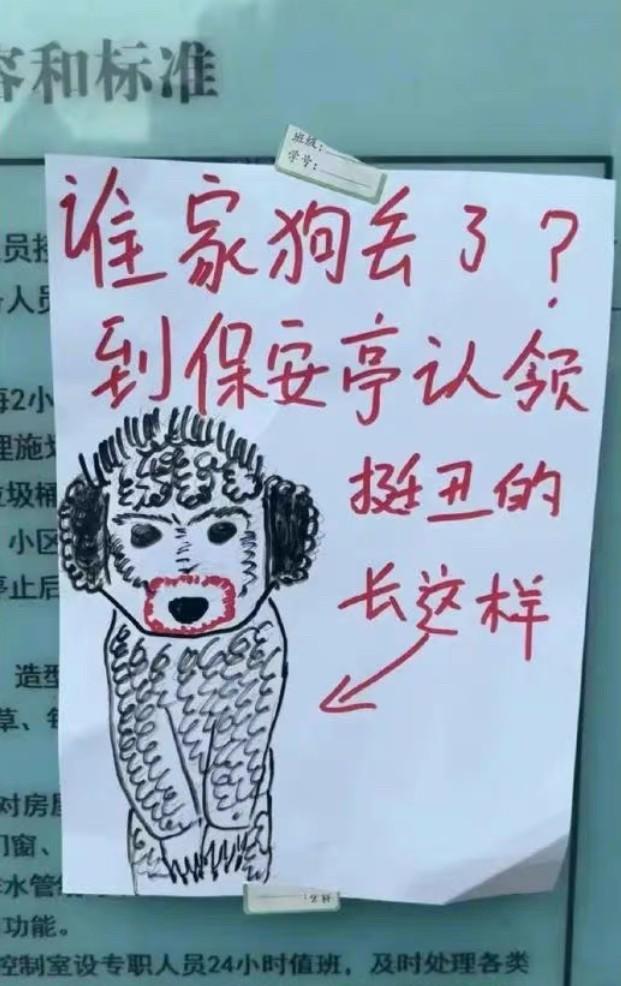 小区保安大哥捡到一条泰迪狗，手画了一张寻狗主人海报，这张画彻底在小区走红了，可谓
