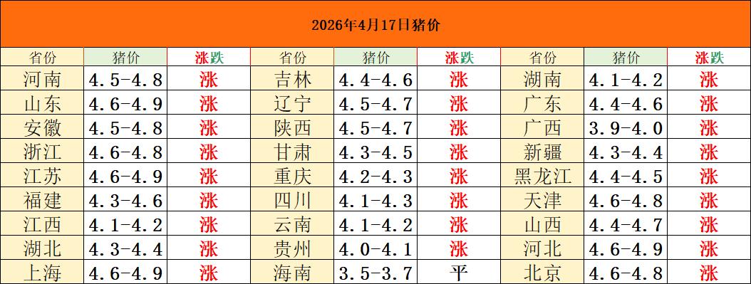 2026年4月17日猪价！全面“暴涨”！养猪业支棱起来了！这两天，又有不少人开