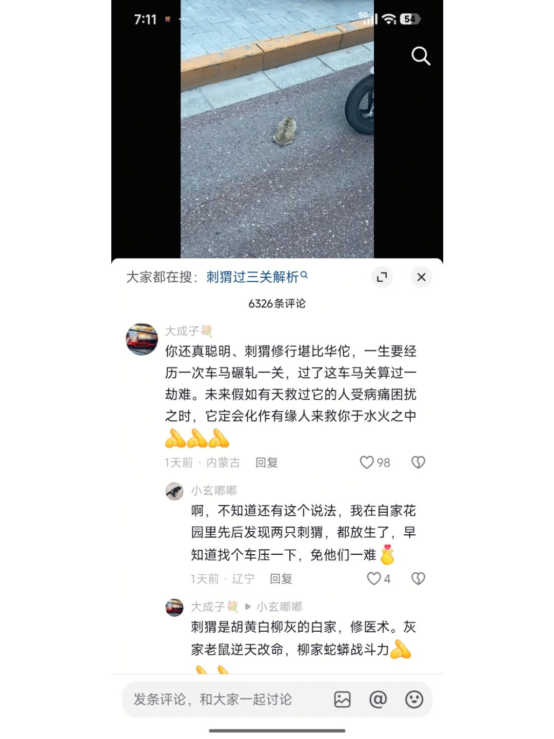 关于刺猬过三关