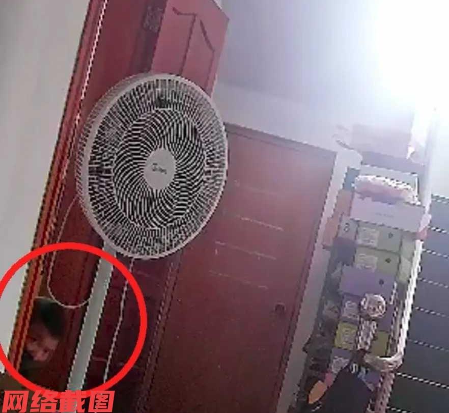 安徽歙县有男子为了抓老鼠，而在家里的楼梯一角放置了粘鼠板。这里的粘鼠板只是男