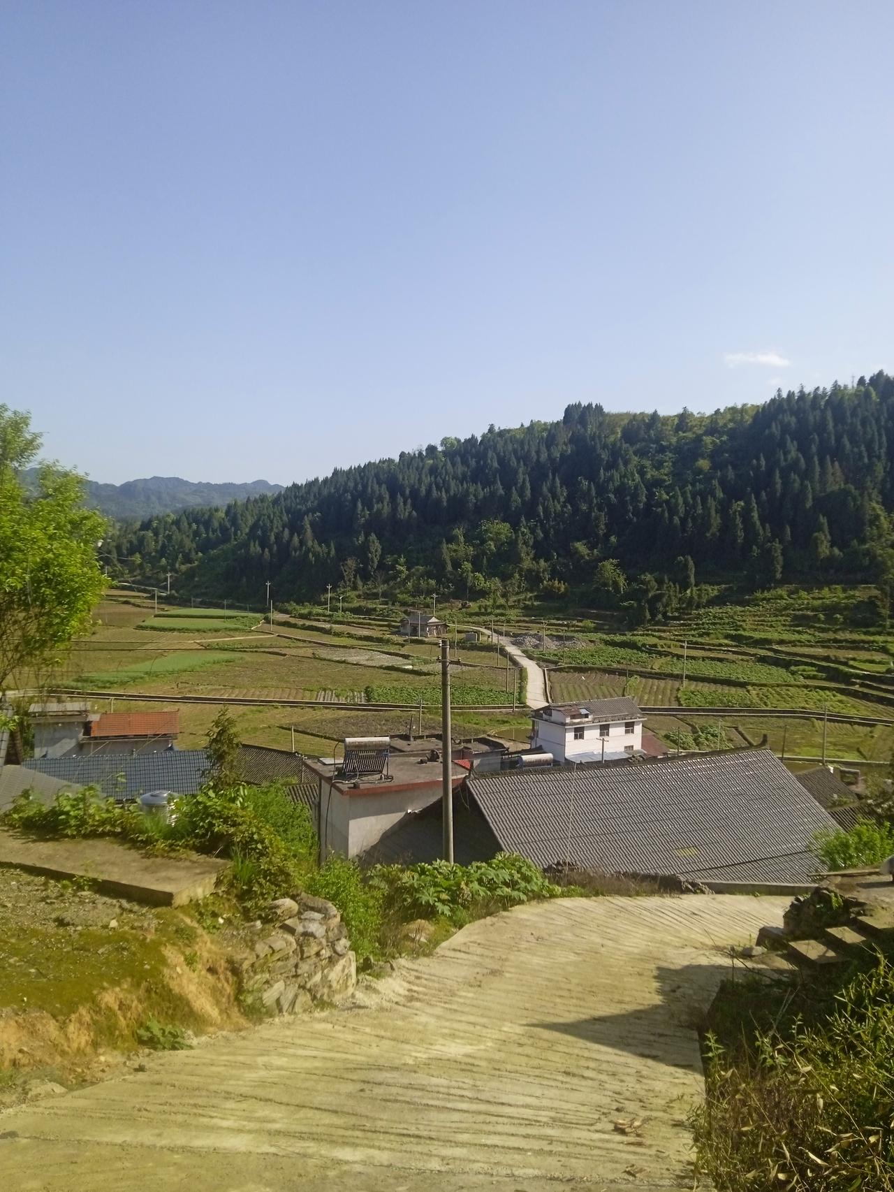 在一些农村人眼里，特别是老一辈人眼里，认为打工才能挣钱，在家里搞养殖种植肯定会亏