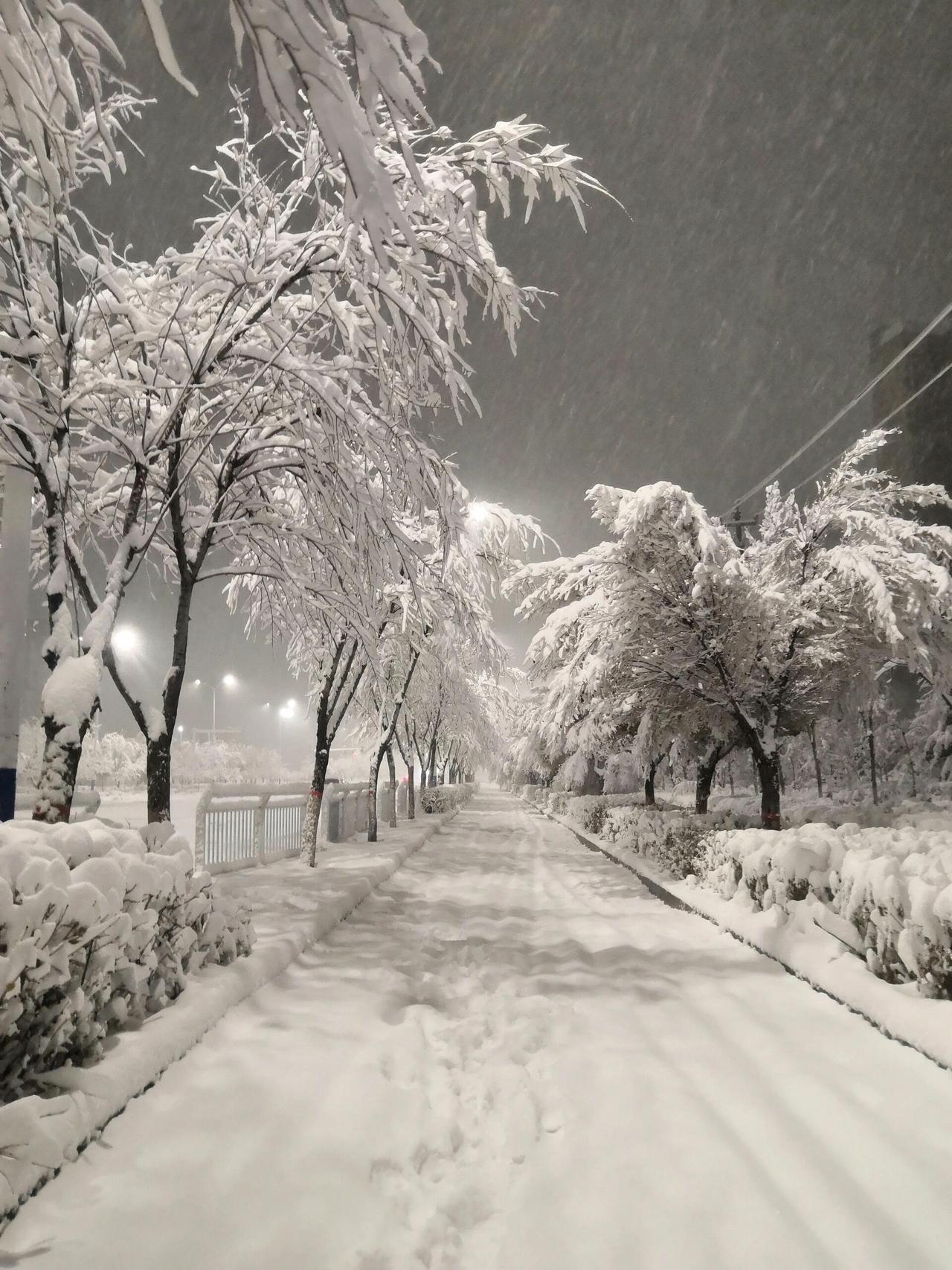 天气预报太准了，乌鲁木齐的雪如期而至，太美了，请大家欣赏！