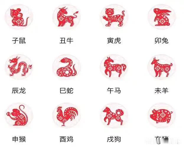 十二生肖老公是如何处理婆媳关系鼠：老婆地位高，全靠鼠抬高牛：在婆婆面前，
