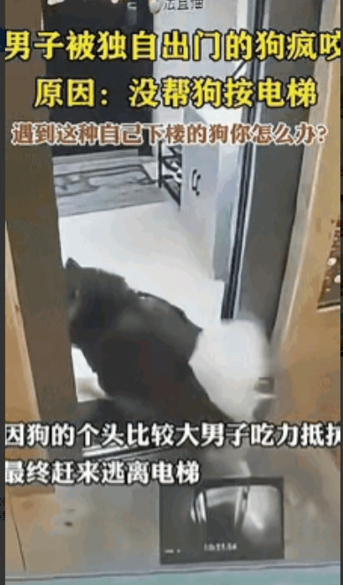 近日，吉林男子家住29楼，乘坐电梯下楼，当时电梯里只有他一个人，可就在电梯进行到