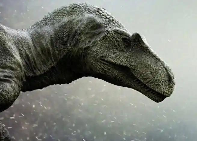 恐龙竟然没有灭绝？中科院院士徐星：“通过大量化石研究，我们可以斩钉截铁的