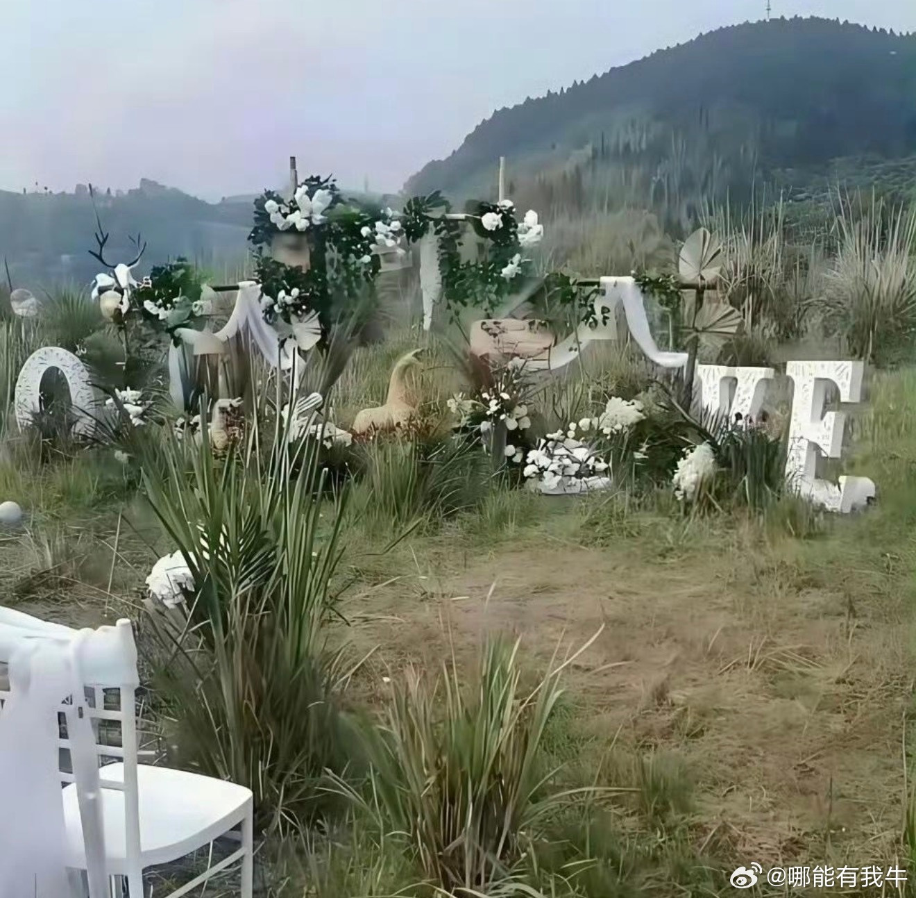 来参加朋友心心念念的草地婚礼