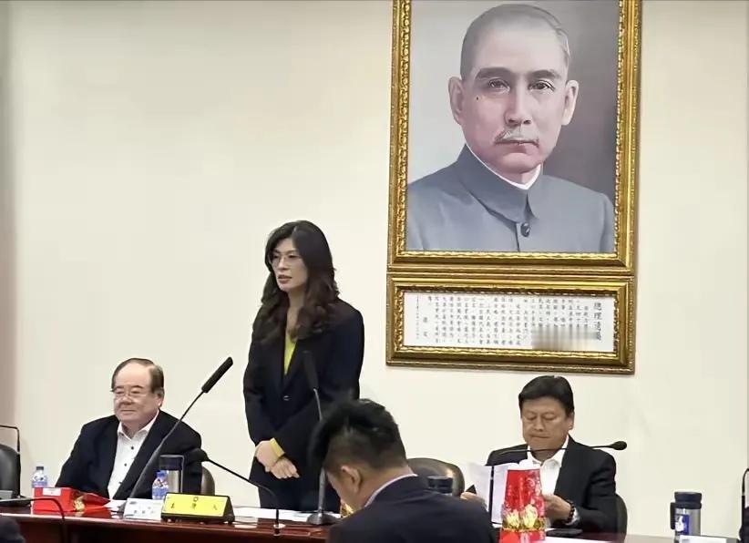 什么叫“国共交流”？郑丽文还活在上世纪吗？​国民党已经没有资格跟共产党谈合作、