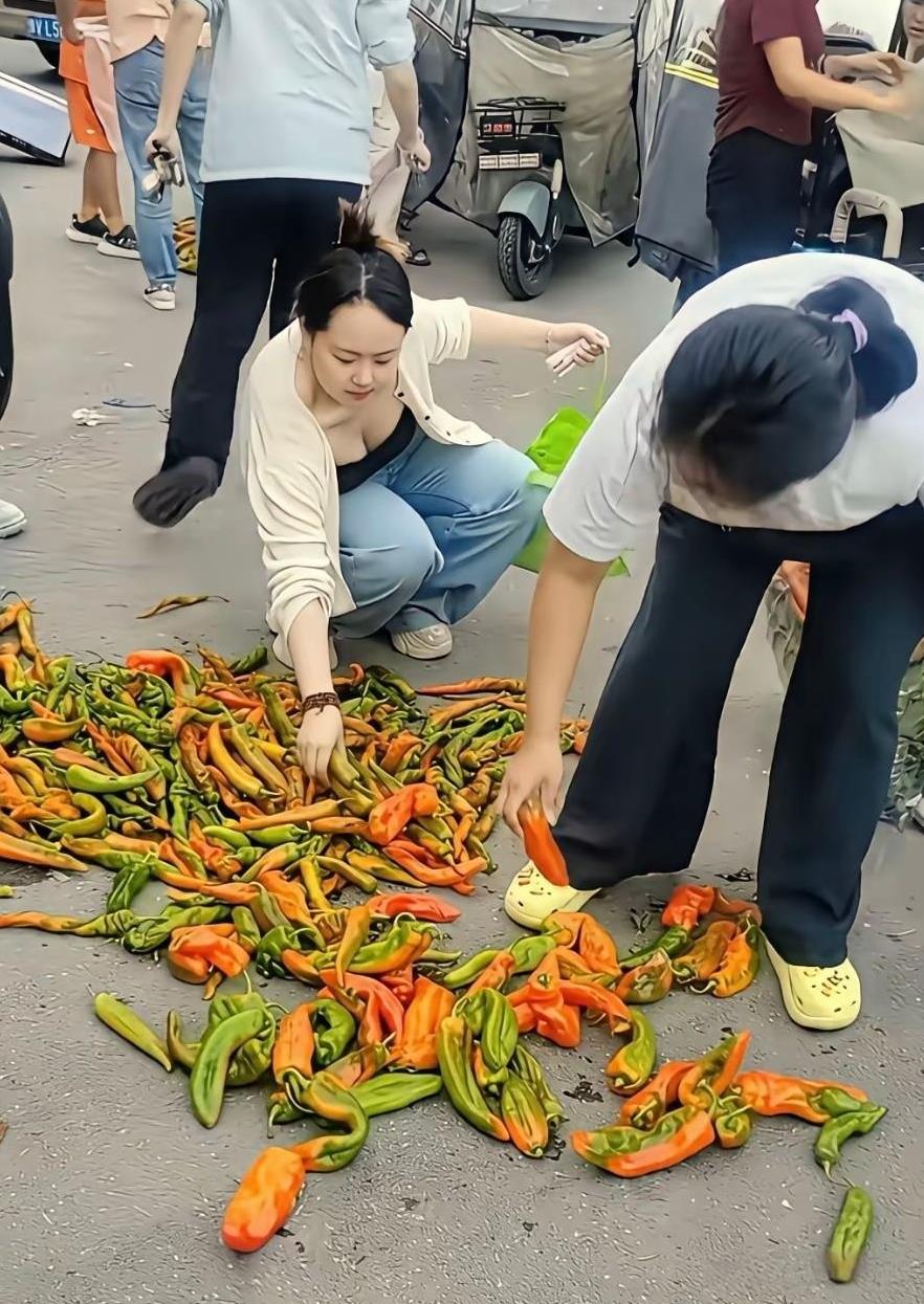 现在捡菜的越来越多了。