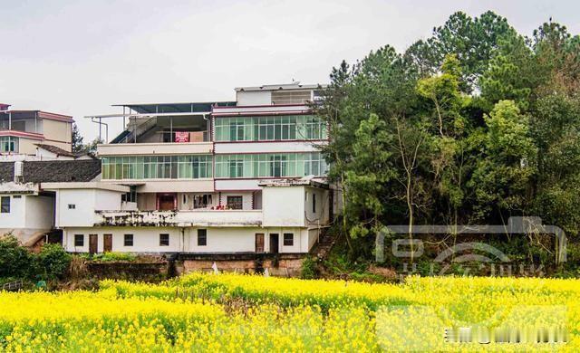 没什么好叫屈的，老农民领取的200块养老金符合事实和历史。现在绝大多数农民参加