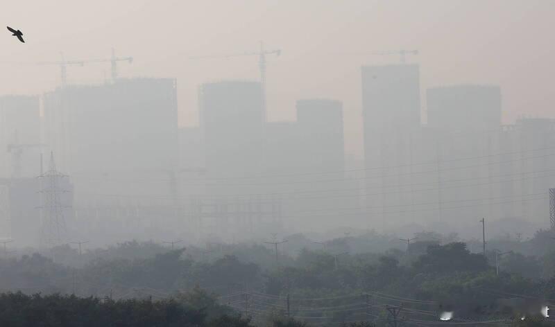 【印度新德里空气污染飙至最高等级市民上街抗议要求政府行动】海外新鲜事据《美联