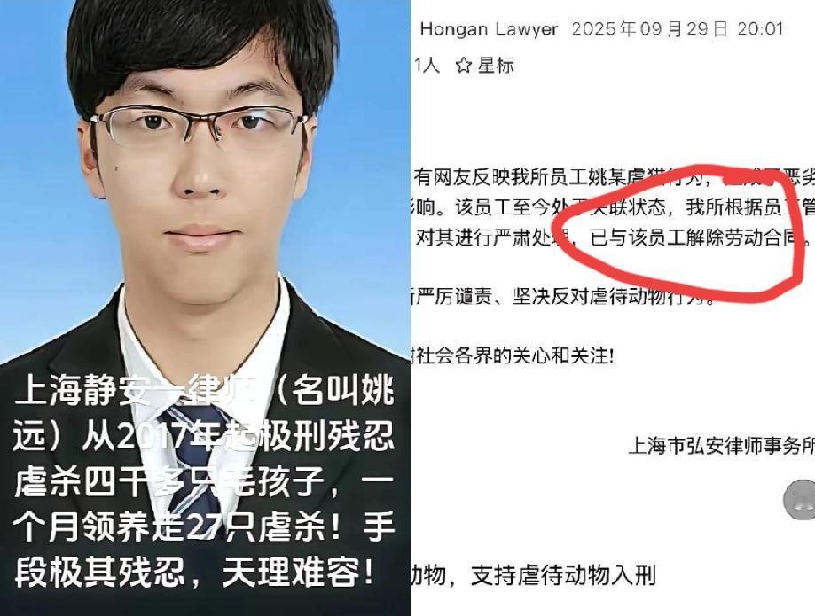 我嘞个豆，实在是太变态了！你看看，这个叫姚远的年轻律师，外表上斯斯文文的，还