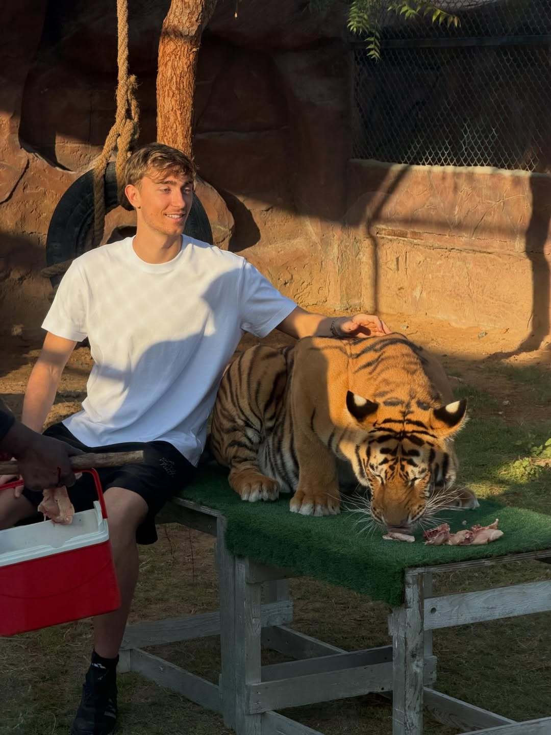 赫伊森在动物园游玩