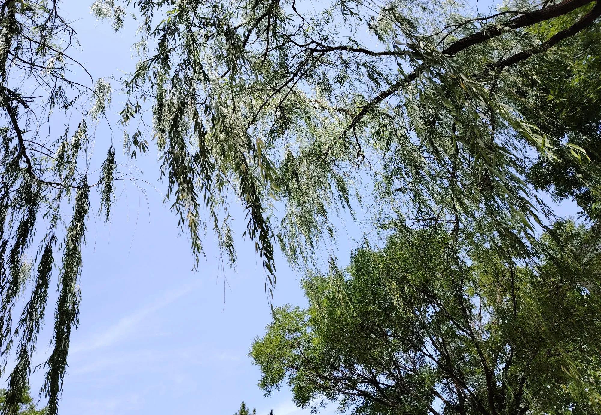 婆婆对儿媳妇再好，也暖不热儿媳妇的心。这位老人家自打媳妇进门，就如同对待